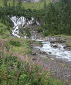 Les chutes de la Simme Les chutes de la Simme (portrait)